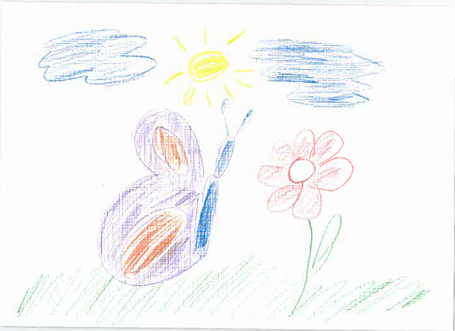 Card-#2